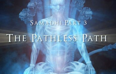 Samadhi Partie 3, Le chemin sans chemin
